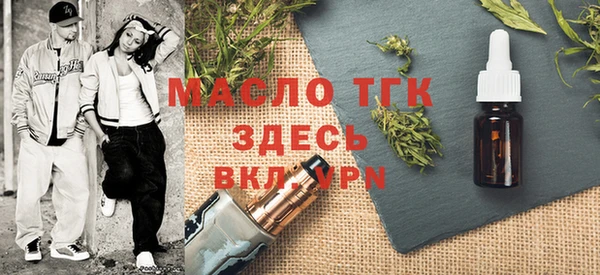 твердый Тайга