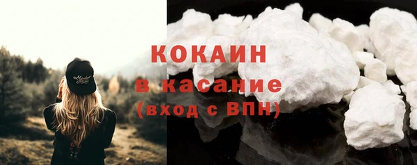 ГАЛЛЮЦИНОГЕННЫЕ ГРИБЫ Богданович