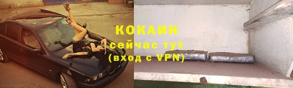 ГАЛЛЮЦИНОГЕННЫЕ ГРИБЫ Богданович