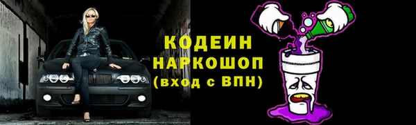 ГАЛЛЮЦИНОГЕННЫЕ ГРИБЫ Богданович