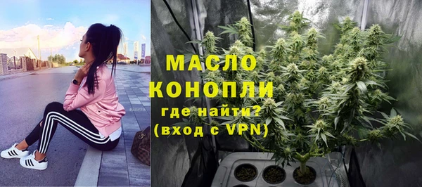 ГАЛЛЮЦИНОГЕННЫЕ ГРИБЫ Богданович