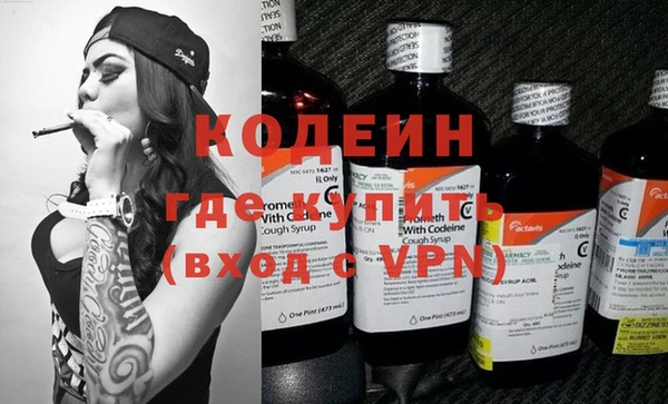 ГАЛЛЮЦИНОГЕННЫЕ ГРИБЫ Богданович