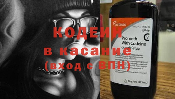 ГАЛЛЮЦИНОГЕННЫЕ ГРИБЫ Богданович