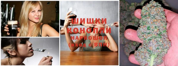 дурь Тавда