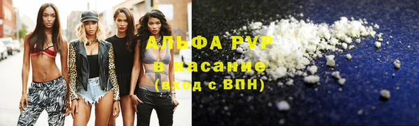 гашик Сясьстрой